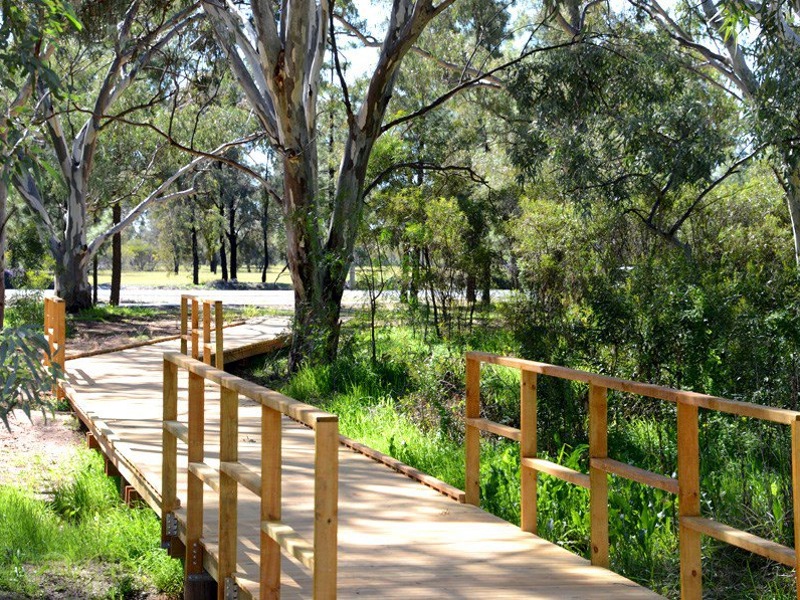 Walk on wetland