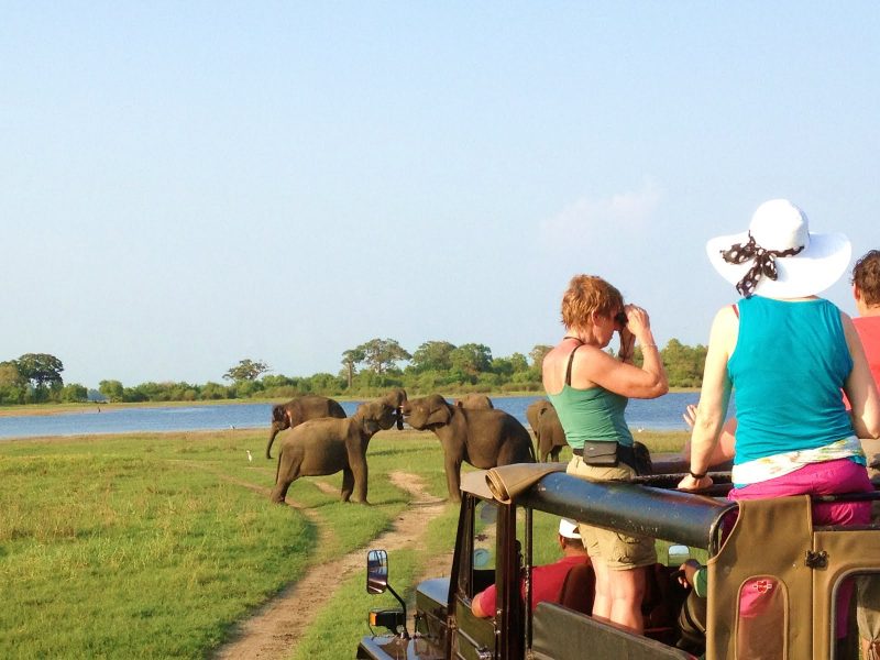 Travel Tips For Sri Lanka