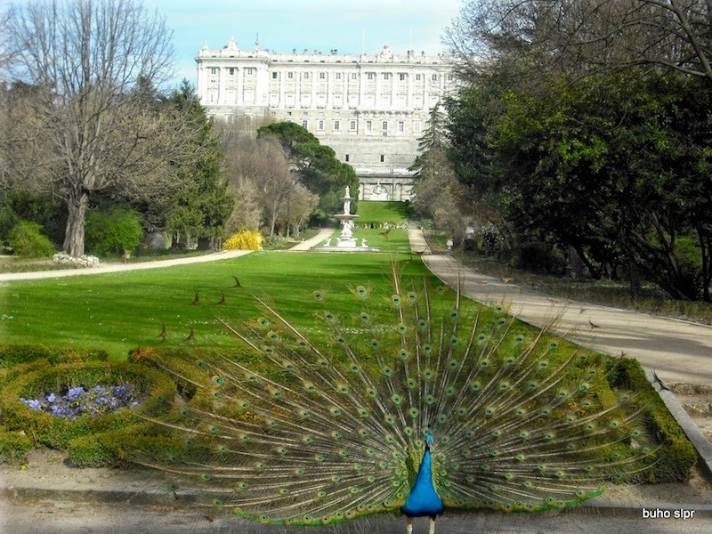 Campo de las Naciones park