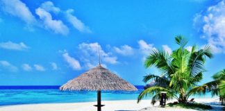 Beautiful Beaches of the World