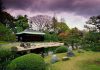 Best Tips For Travel To Japan