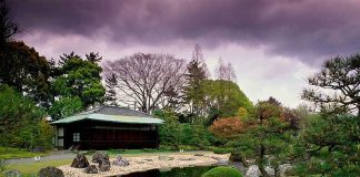 Best Tips For Travel To Japan