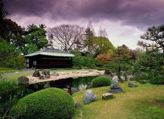 Best Tips For Travel To Japan