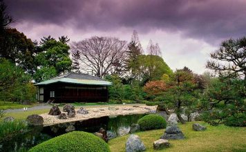 Best Tips For Travel To Japan