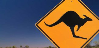Best Travel Tips For Travel To Australia