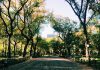New York to See Central Park's