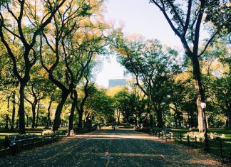 New York to See Central Park's