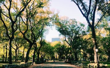 Take Cheap Flights to New York to See Central Park’s Top Five Attractions New York to See Central Park's