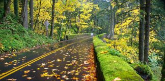 Plan My Road Trip