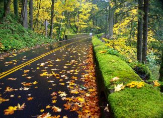 Plan My Road Trip