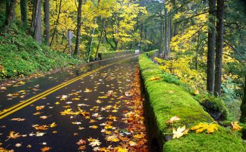 Plan My Road Trip Plan My Road Trip