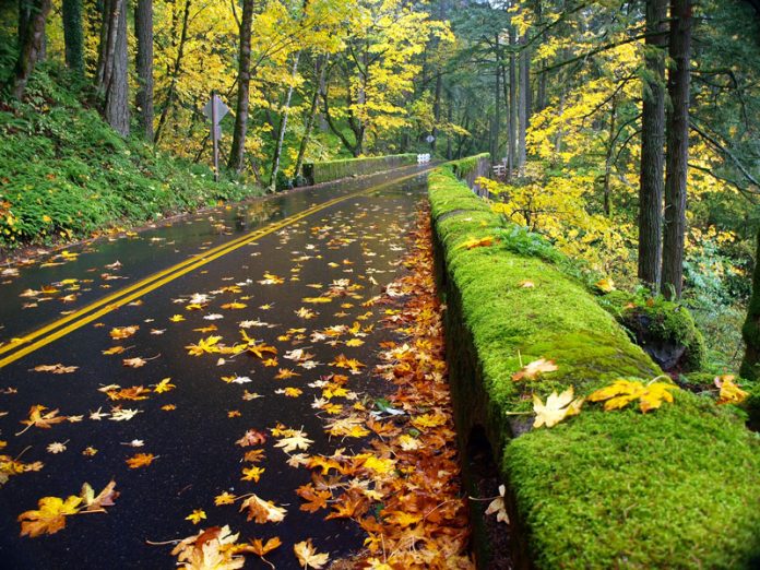 Plan My Road Trip