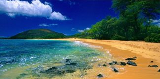 Top Tips Travel To Maui