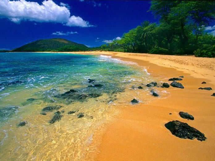 Top Tips Travel To Maui