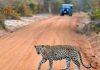 Travel Tips And Guide For Sri Lanka Travel