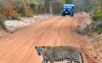 Travel Tips And Guide For Sri Lanka Travel