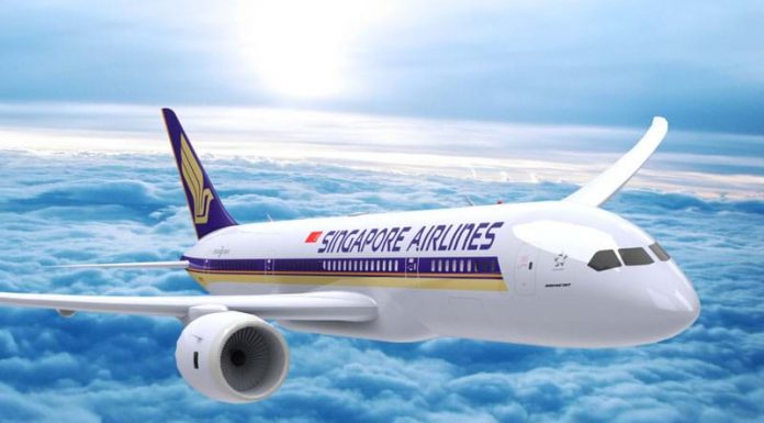 singapore airline