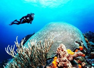Amazing Dive Sites of the World Amazing Dive Sites of the World