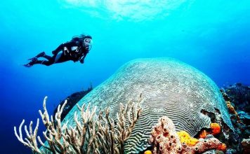 Amazing Dive Sites of the World Amazing Dive Sites of the World