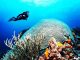Amazing Dive Sites of the World
