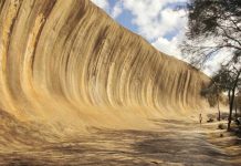 Natural Beauty in Australia