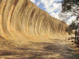 Natural Beauty in Australia