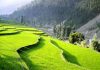 Top 5 Beautiful Places in Pakistan Top 5 Beautiful Places in Pakistan