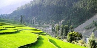 Top 5 Beautiful Places in Pakistan