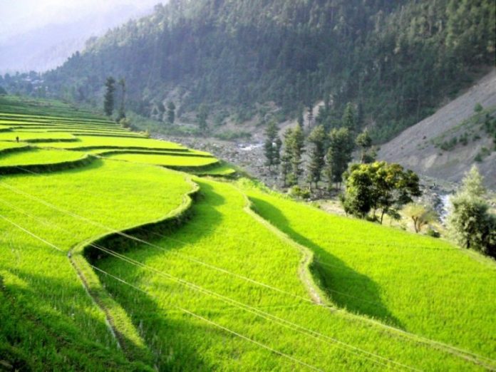 Top 5 Beautiful Places in Pakistan